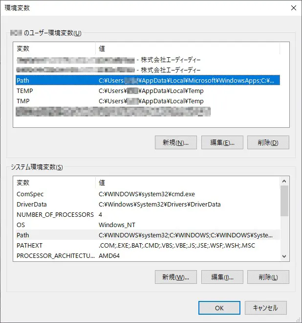 User-Environment-Variable